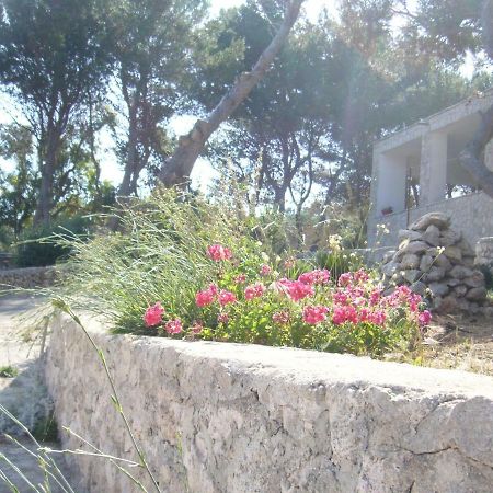גאליאנו דל קאפו Villa Aquarium מראה חיצוני תמונה