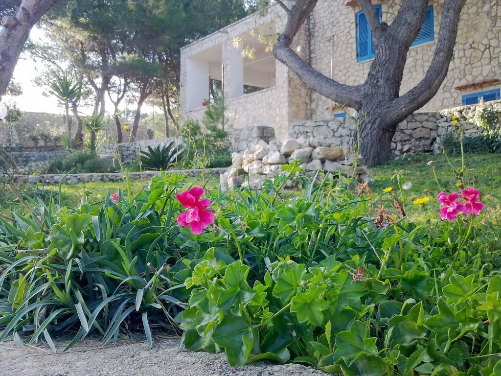 גאליאנו דל קאפו Villa Aquarium מראה חיצוני תמונה