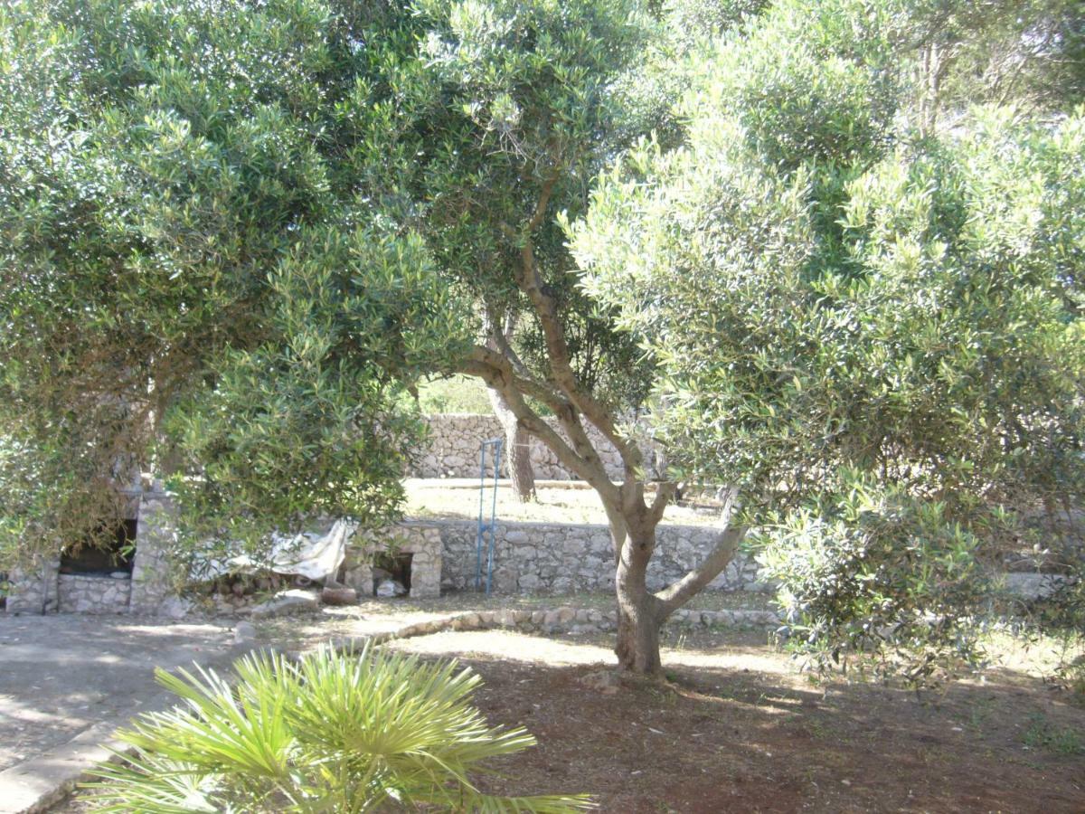 גאליאנו דל קאפו Villa Aquarium מראה חיצוני תמונה