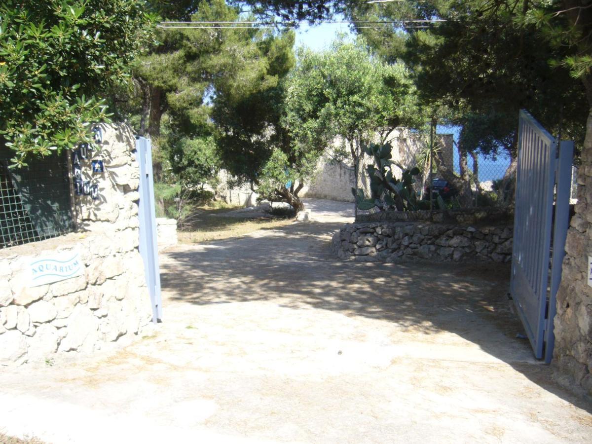 גאליאנו דל קאפו Villa Aquarium מראה חיצוני תמונה